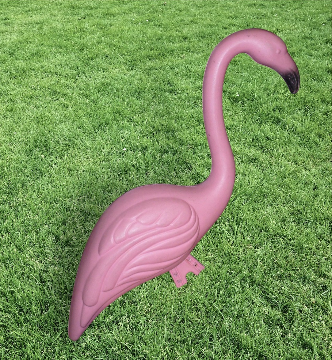 yard card flamingo